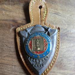 insigne féderation sapeurs pompiers