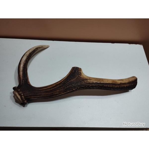BEAU MORCEAU BOIS MUES CERF AVEC MEULE ANDOUILLER POUR CHIEN COUTELLERIE ARTISANAT