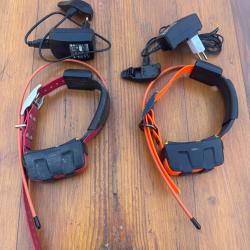 Collier garmin dc50 us
