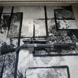 Carabine 308 tld ou affût