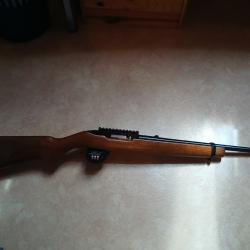 Carabine Ruger 10/22