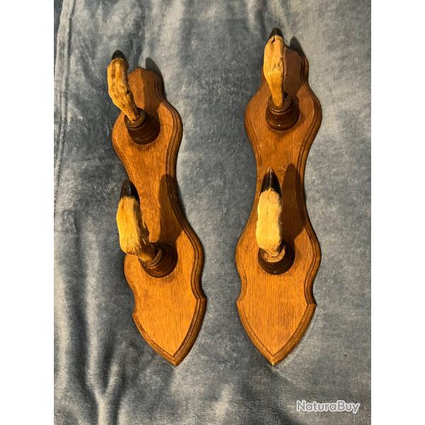 Rtelier 2 fusils pattes de chevreuils