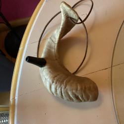 Trompe de chasse corne de bélier