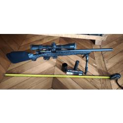 Bergara BMR carbone 22lr