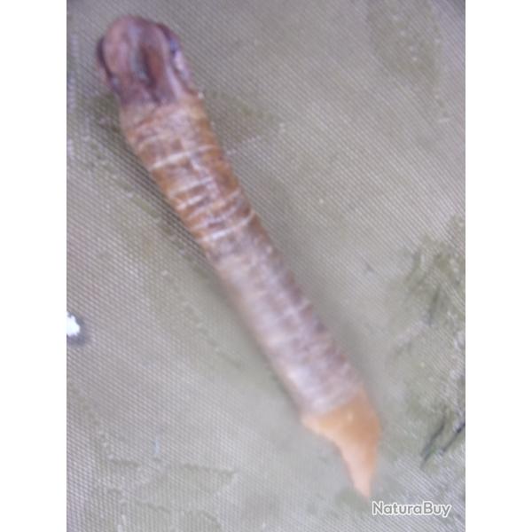 reproduction  grattoir  néolithique 17 cm