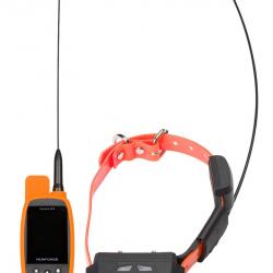 Ensemble de localisation GPS Canicom Mini avec stimulation