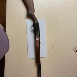 carabine winchester mod 190 22 lr