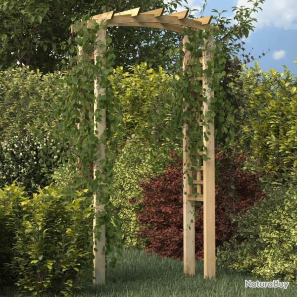 Arche en treillis 110x60x210 cm Bois de pin massif imprgn