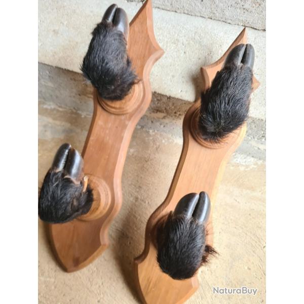 Rtelier pour 2 fusils, pattes sanglier
