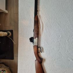 carabine gaucher express 9.3x74r