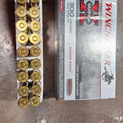 Divers Balles 300 WINCHESTER MAG PowerPoint 180 GRAIN .