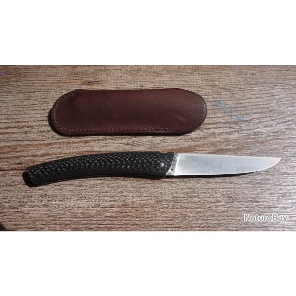 Thiers Compagnon de Chambriard en fibre de carbone