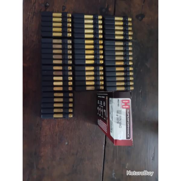 Hornady 300 WM SST