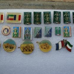 INSIGNES PIN S DAGUET  X 22