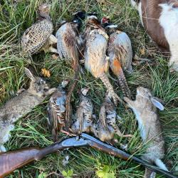 Action chasse petit Gibier (89)