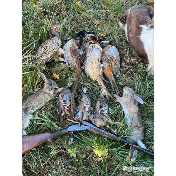 Action chasse petit Gibier (89)