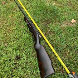 Carabine manu arm 22lr