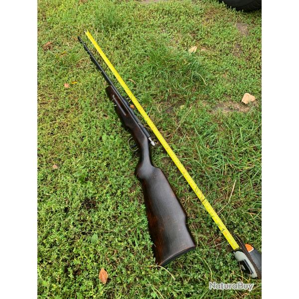 Carabine manu arm 22lr