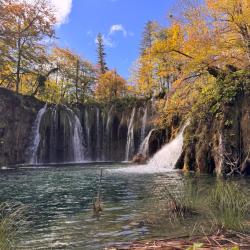 Chasse en battue Croatie