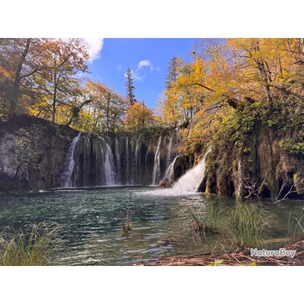 Chasse en battue Croatie