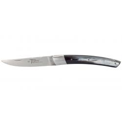 Couteau Chevalerias Le Thiers 1 pièce - Lame 110mm - 1 Mitre inox - Manche Corne Noire