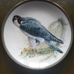 Assiette de collection thème les rapaces