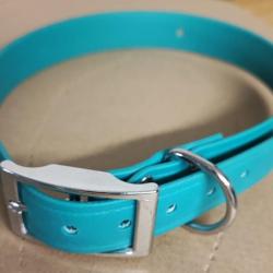 Collier pour chien ASTRO - Vert sapin