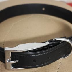 Collier pour chien ASTRO - Noir