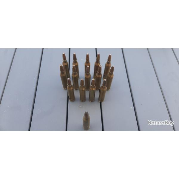 15 cartouches calibre 7mms remington magnum