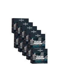 250 CARTOUCHES GAMEBORE CLEAR PIGEON 12/70 32GR BJ (10 BOITES DE 25 MUNITIONS) desto-mun