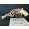 petites annonces chasse pêche : SMITH - WESSON HAMMERLESS TOP BREAK cal .32sw