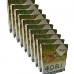 100 CARTOUCHES TERZEO 12/70 40 NICKELE BJ  (10 BOITES DE 10 MUNITIONS)