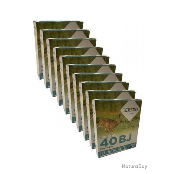 100 CARTOUCHES TERZEO 12/70 40 NICKELE BJ  (10 BOITES DE 10 MUNITIONS)