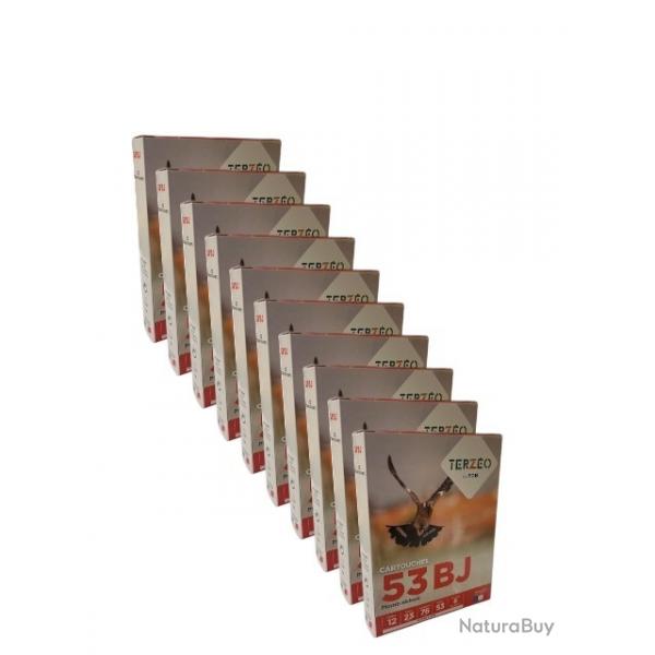 100 CARTOUCHES TERZEO 12MAG 53G NICKELE BJ ( 10 BOITES DE 10 MUNITIONS) desto-mun