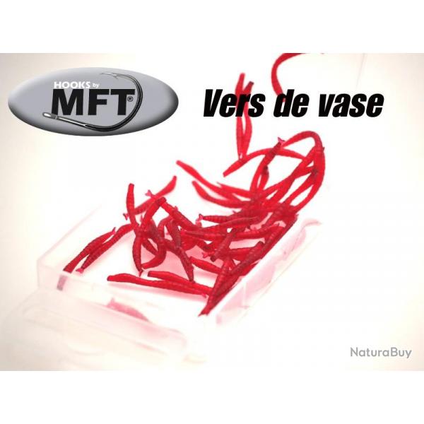 MFT  - Vers de vase