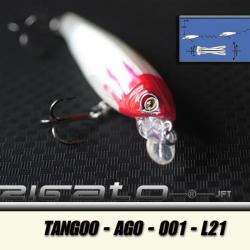 TANGOO-AGO-001 L21
