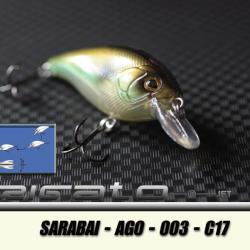 SARABAI-AGO-003 C17