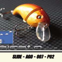 SLIDE-AGO-007 P02