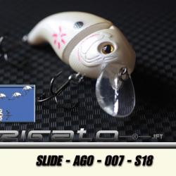 SLIDE-AGO-007 S18