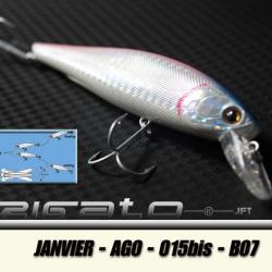 JANVIER-AGO-015 B07