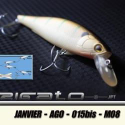 JANVIER-AGO-015 M08