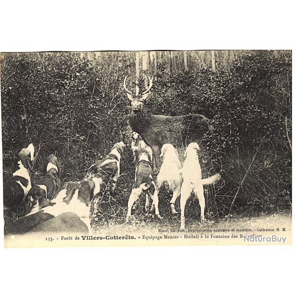 CHASSE  COURRE - Hallali - cerf, chiens, fort de Villers Cotterts (02)