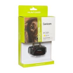 Collier educatif canicom jaune