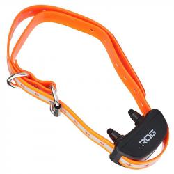 Collier supplémentaire educatif ROG