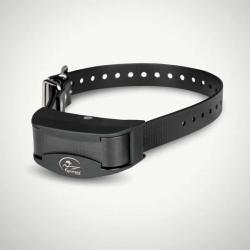 Collier Sport trainer SBC-R