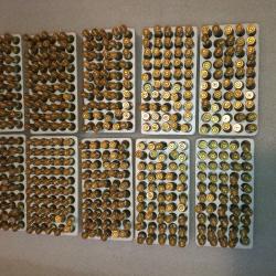 Lot 500 douilles 22 Hornet PPU tirées 1x