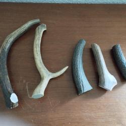LOT BOIS MUE DE CERF COUTELLERIE OBJETS DIVERS CHIEN