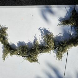 Camouflage vert pour réplique longue (ghillie)