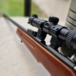 Carabine monocoup 22lr MANU-ARM