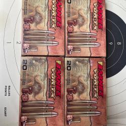 Boîtes de balles BARNES TSX 458 win mag